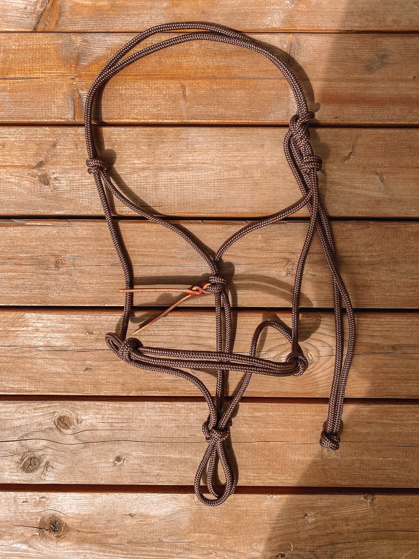 Rope Halter (Cob/ Small Quarter Size)