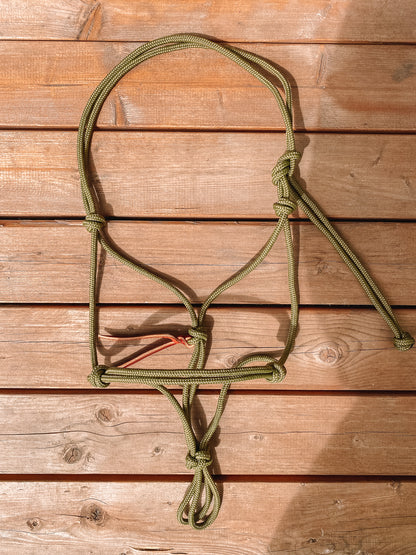 Rope Halter (Cob/ Small Quarter Size)