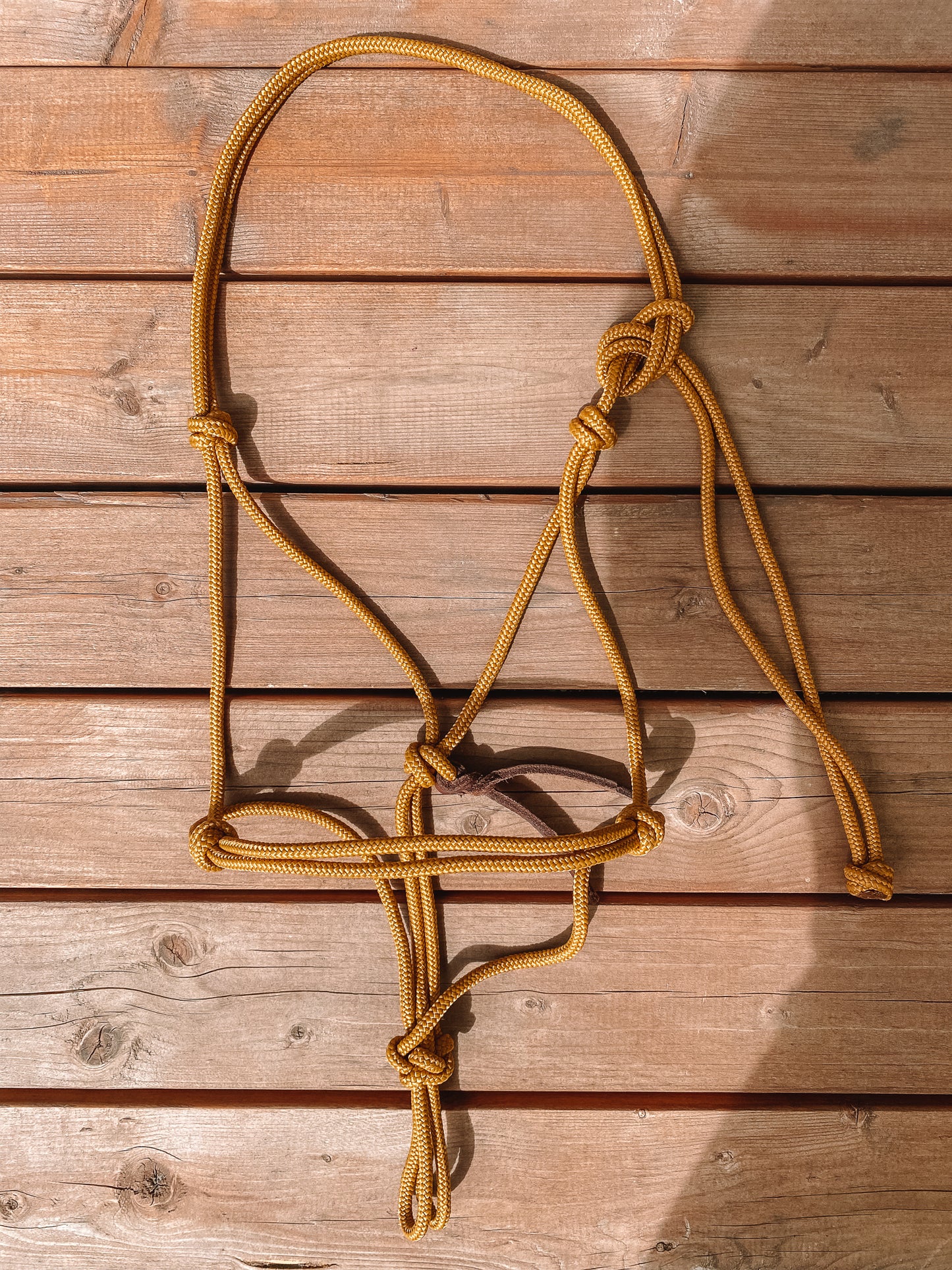 Rope Halter (Cob/ Small Quarter Size)