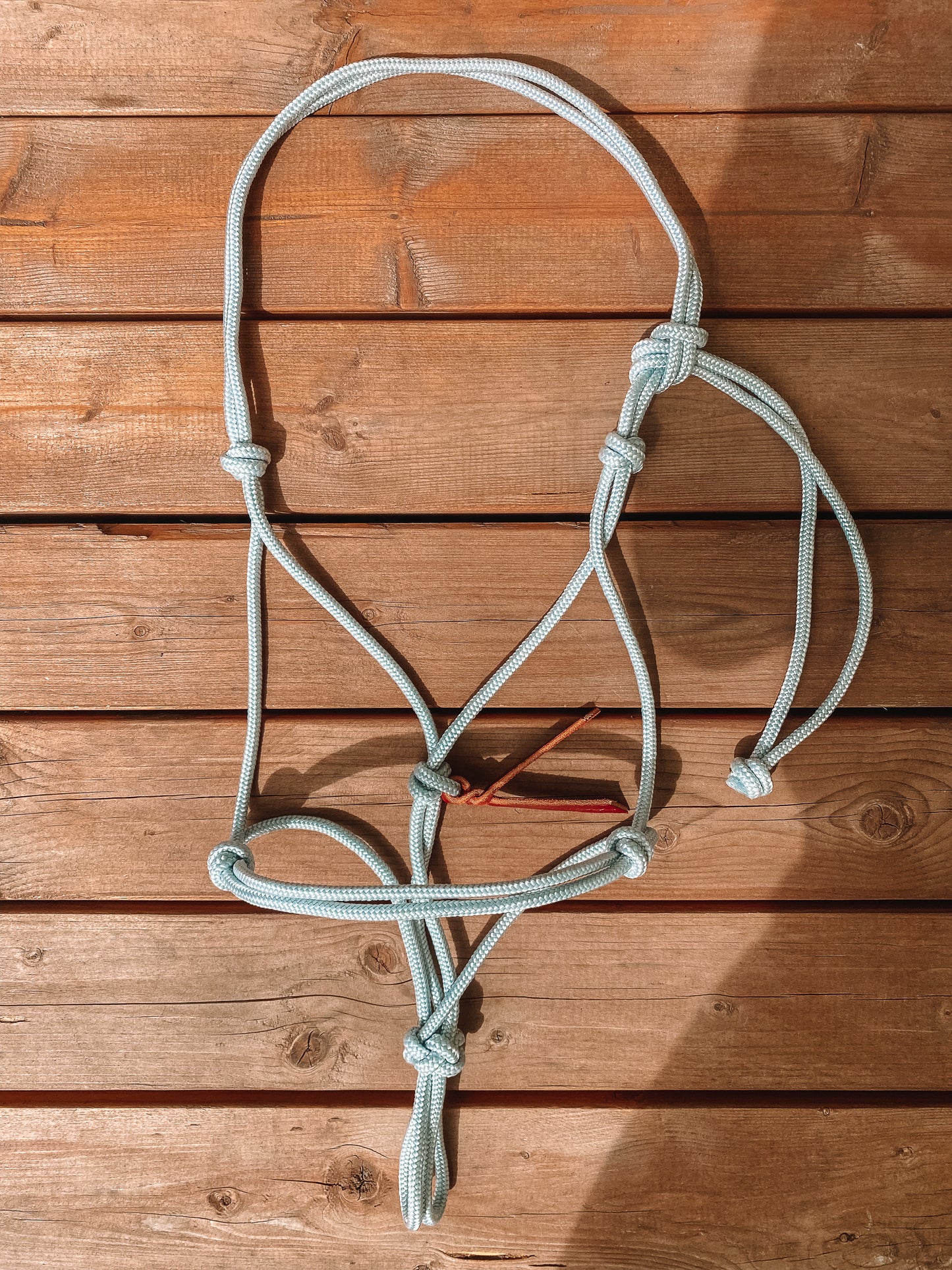 Rope Halter (Cob/ Small Quarter Size)