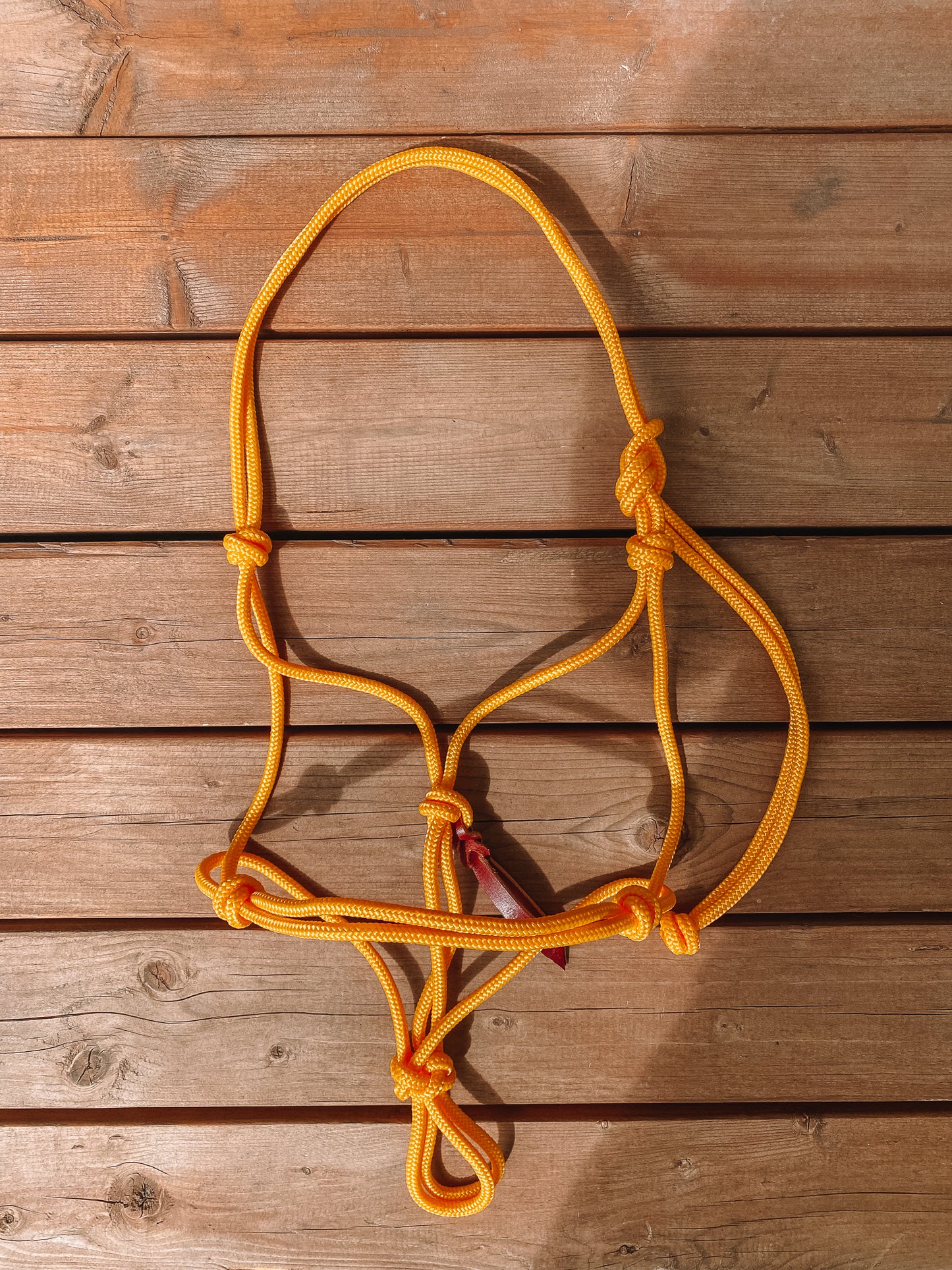 Rope Halter (Cob/ Small Quarter Size)