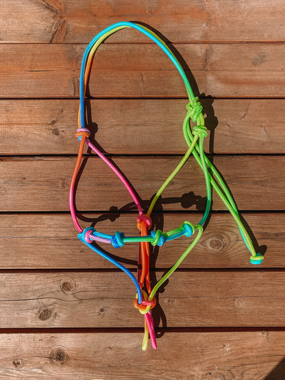 Rainbow Rope Halter