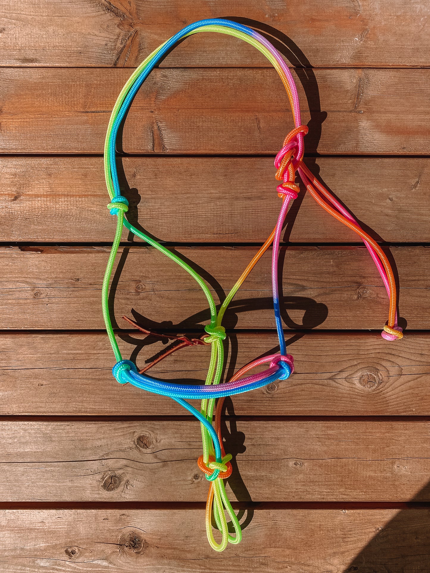 Rainbow Rope Halter