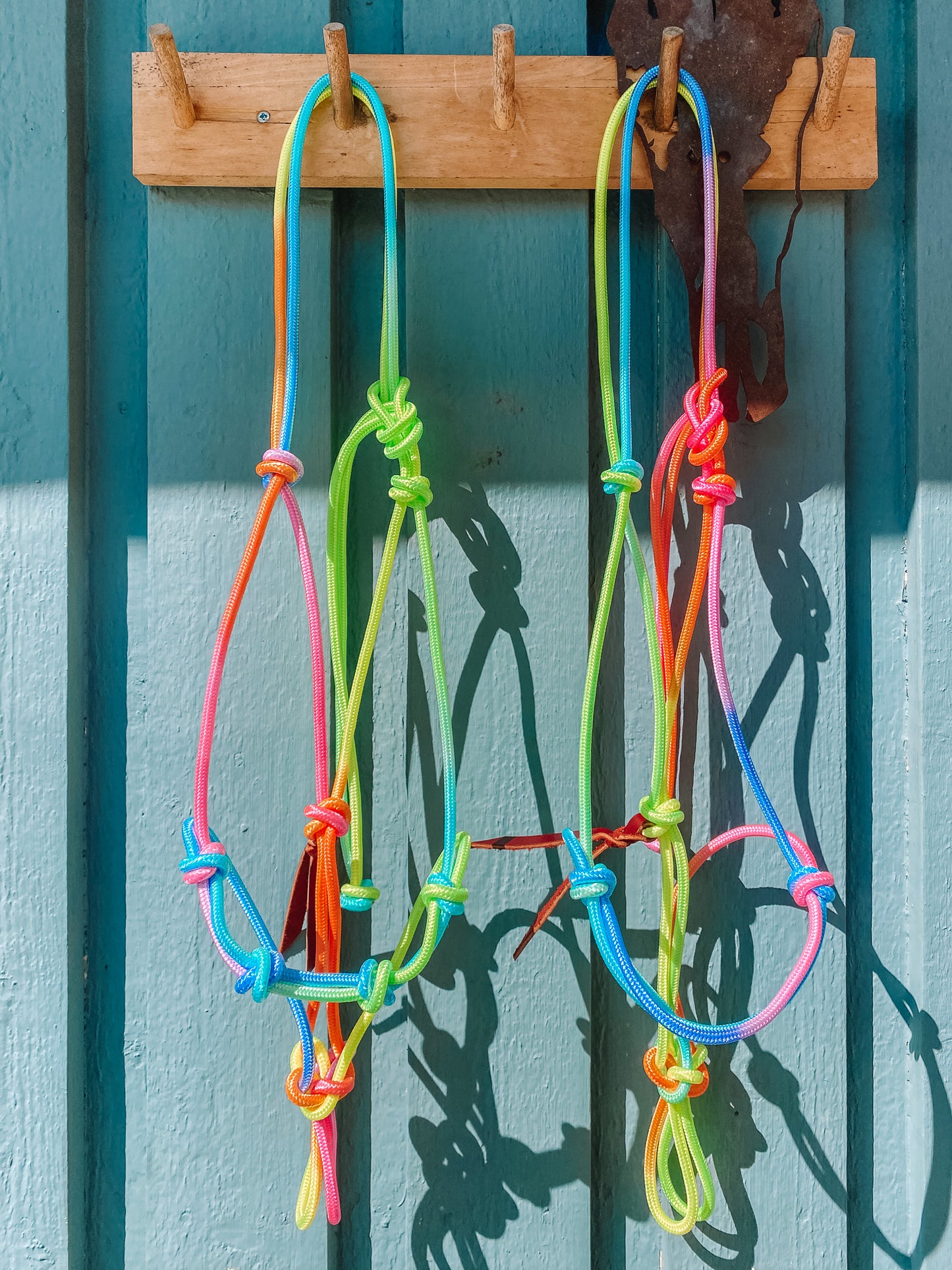 Rainbow Rope Halter