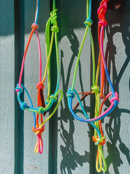 Rainbow Rope Halter