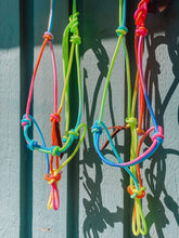 Load image into Gallery viewer, Rainbow Rope Halter
