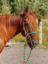 Load image into Gallery viewer, Rope Cavesson Noseband
