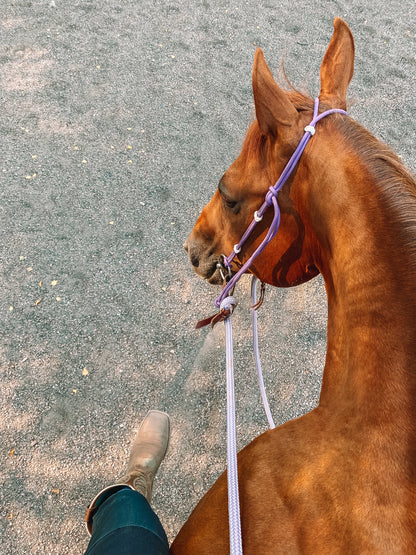 Rope Headstall