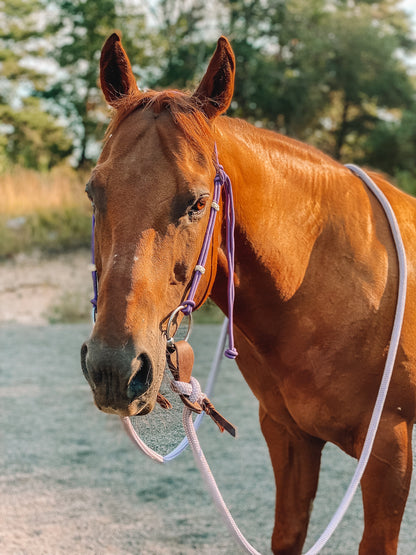 Rope Headstall