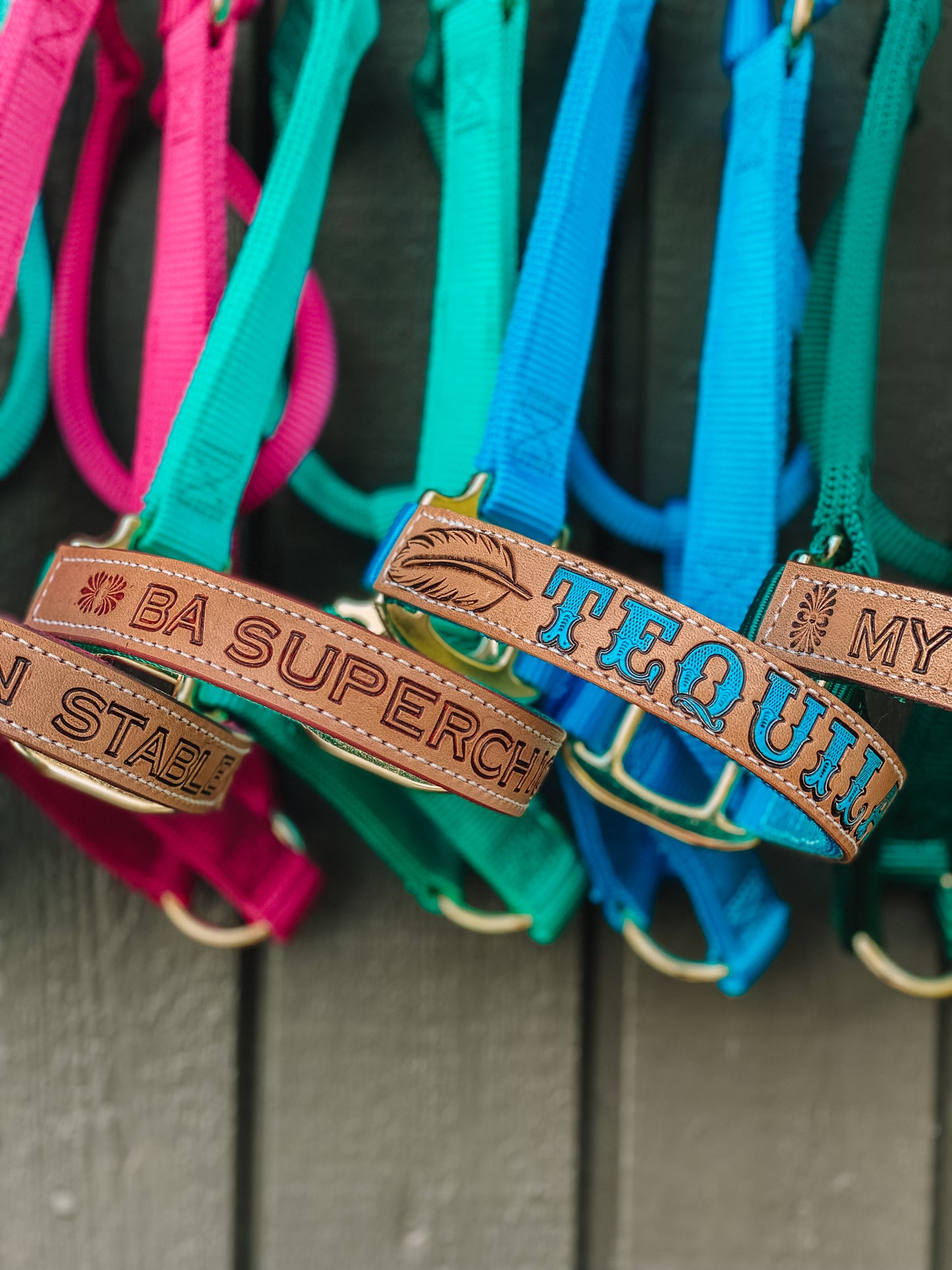 PERSONALISED Horse Halter