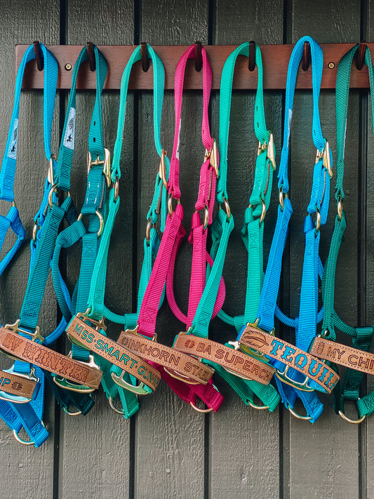 PERSONALISED Horse Halter