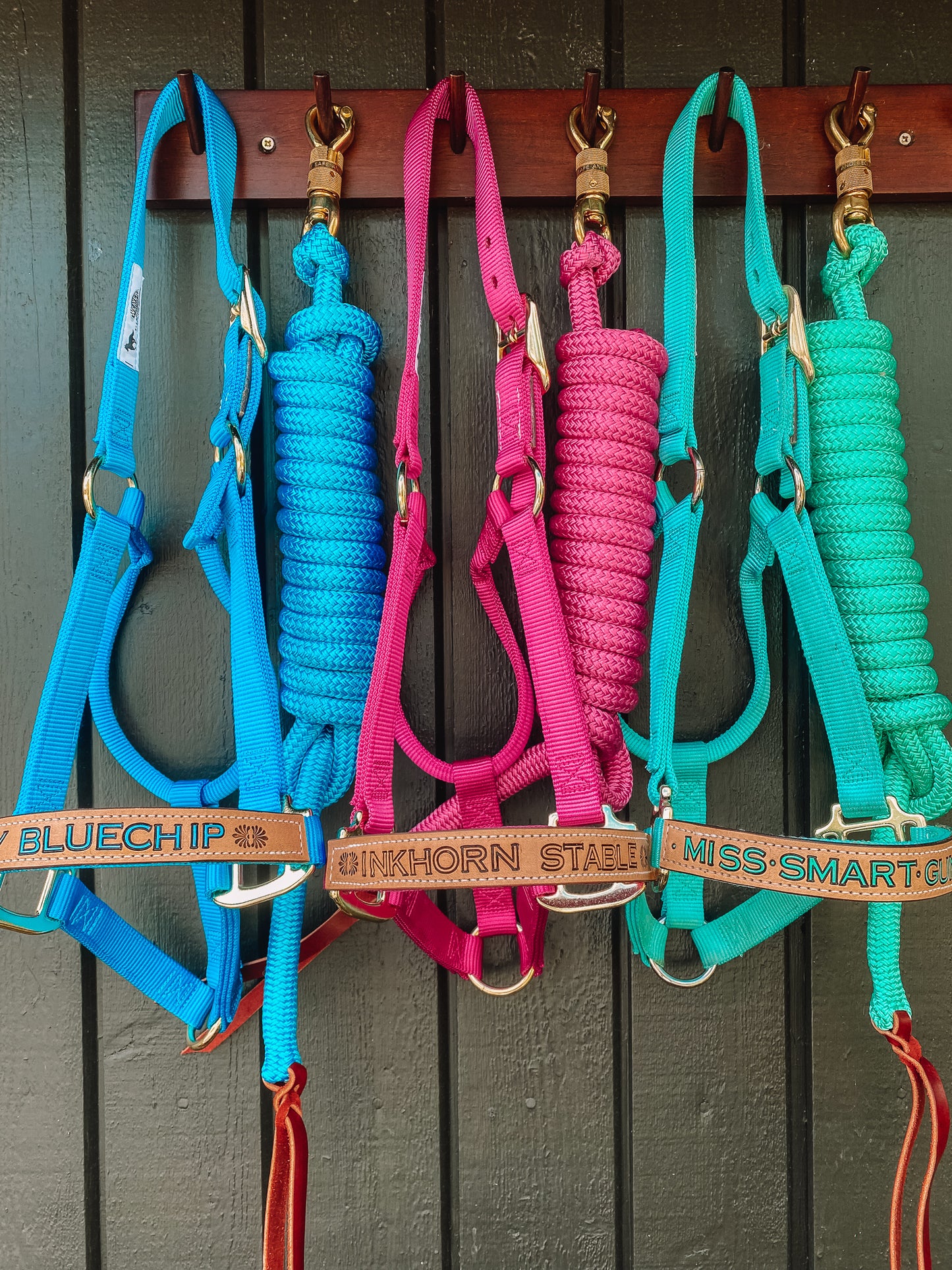 PERSONALISED Horse Halter