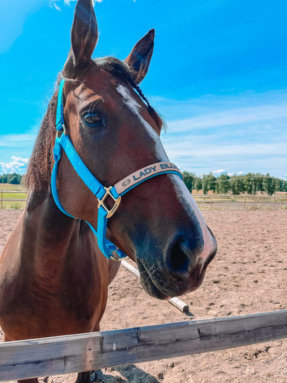 PERSONALISED Horse Halter