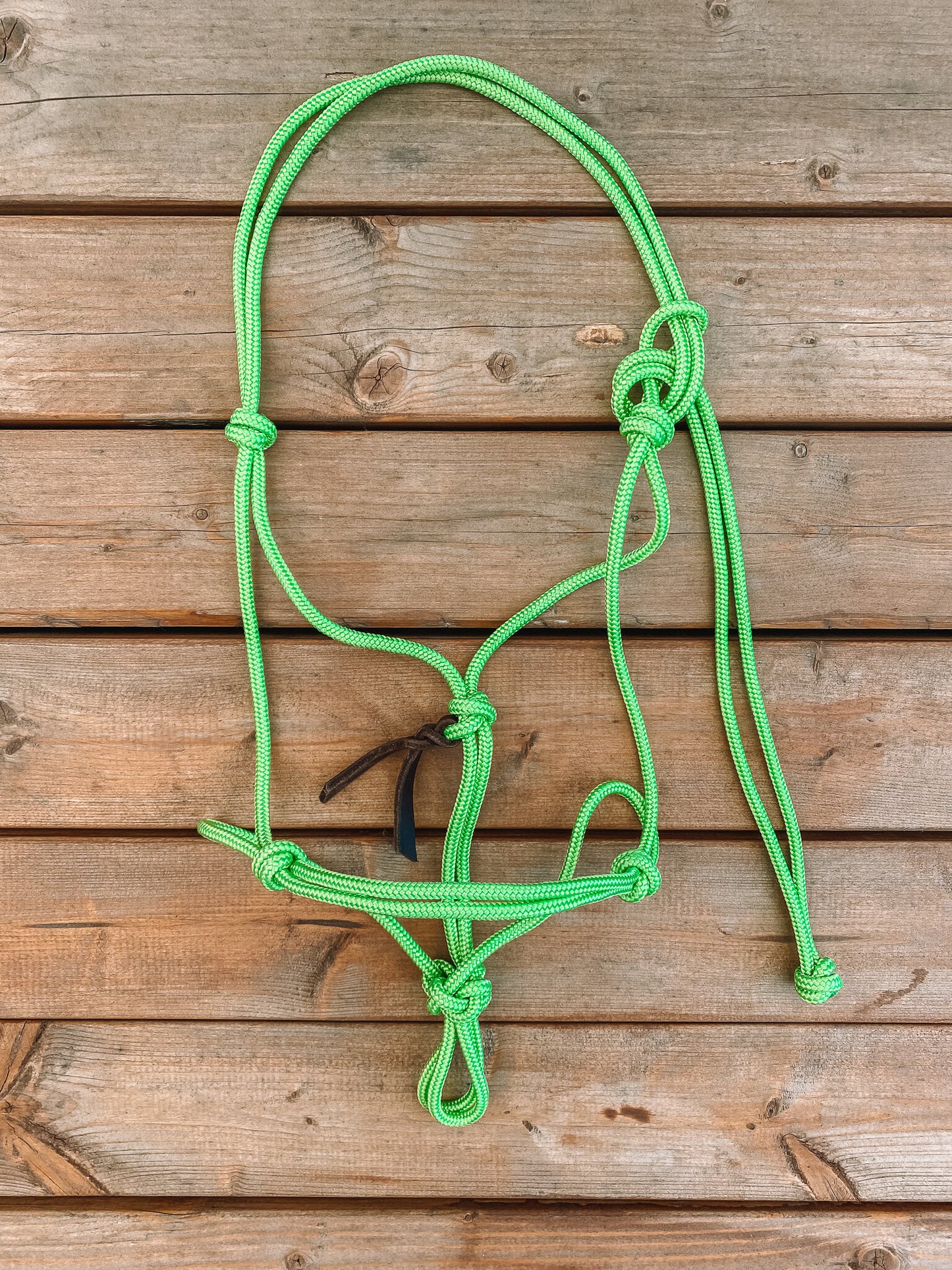 Rope Halter (Cob/ Small Quarter Size)