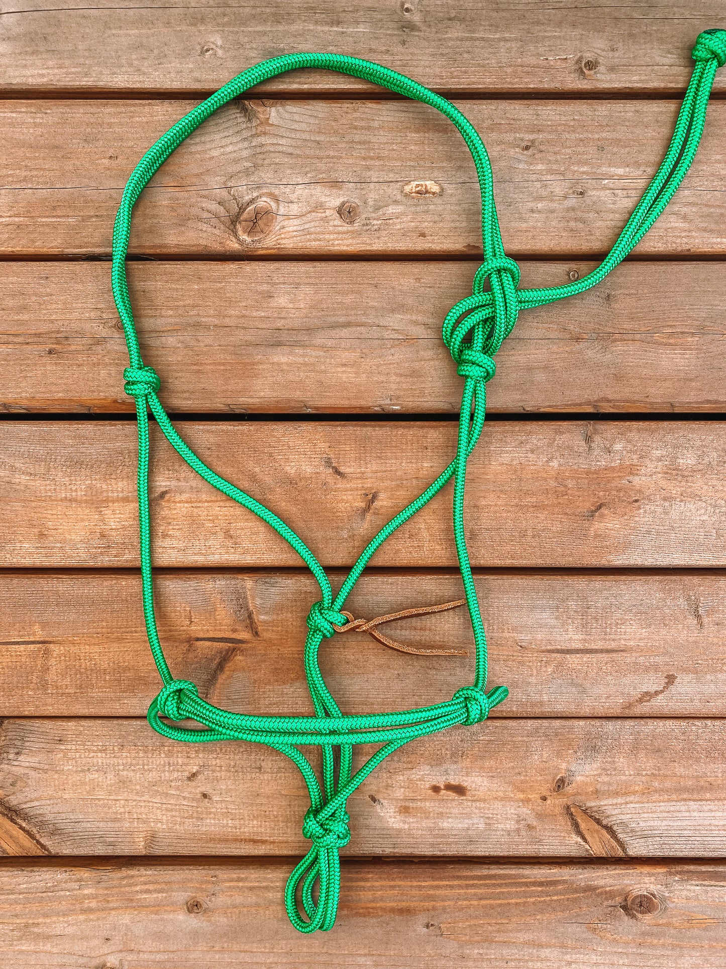 Rope Halter (Cob/ Small Quarter Size)