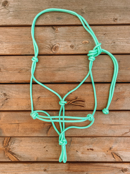 Rope Halter (Cob/ Small Quarter Size)