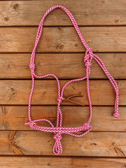 Rope Halter (Cob/ Small Quarter Size)