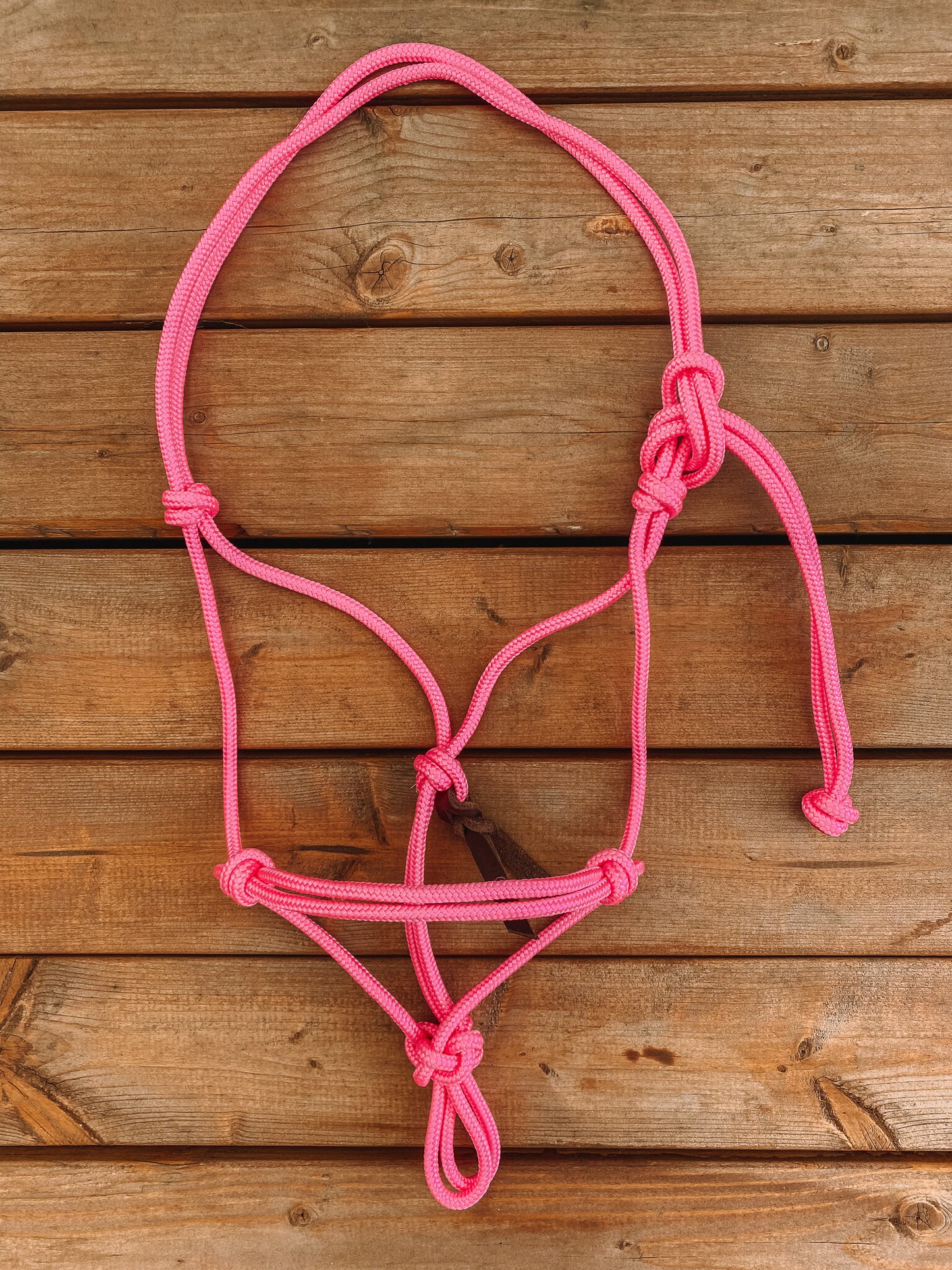 Rope Halter (Cob/ Small Quarter Size)