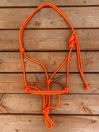 Rope Halter (Cob/ Small Quarter Size)