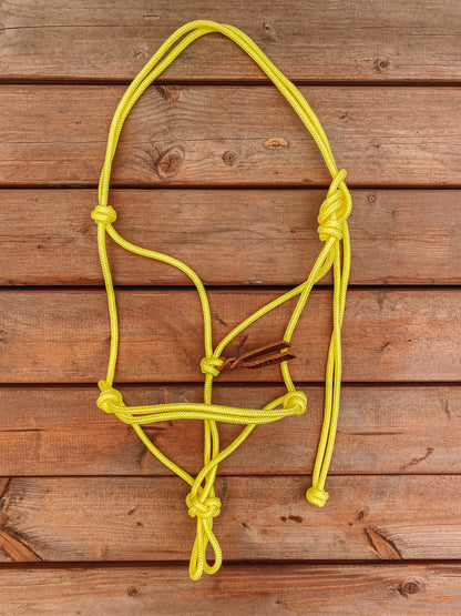 Rope Halter (Cob/ Small Quarter Size)