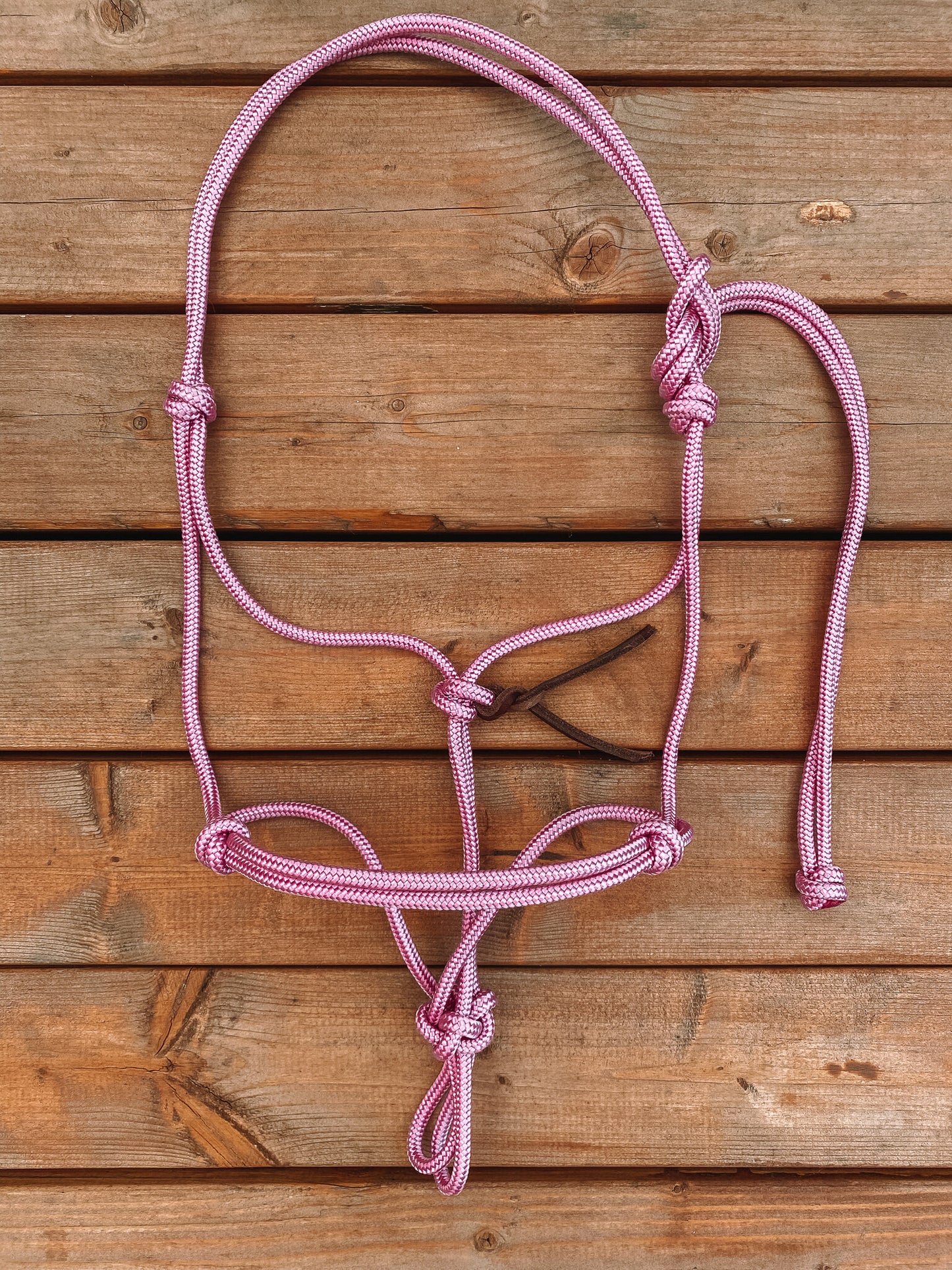 Rope Halter (Cob/ Small Quarter Size)