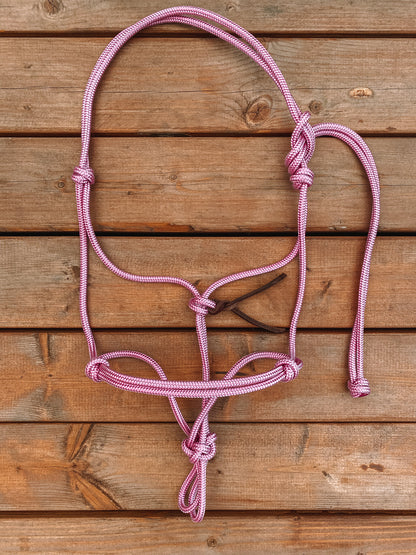 Rope Halter (Cob/ Small Quarter Size)