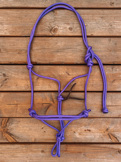 Rope Halter (Cob/ Small Quarter Size)