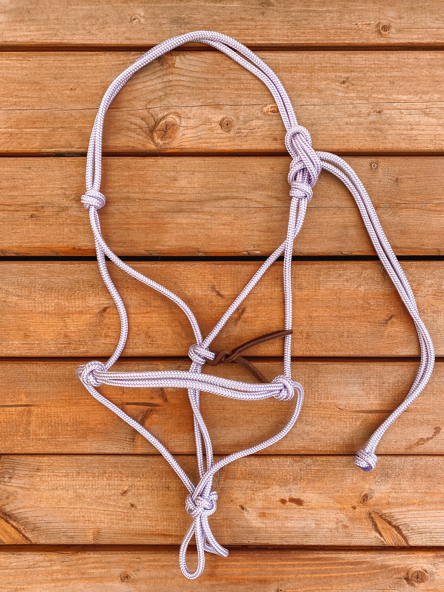 Rope Halter (Cob/ Small Quarter Size)