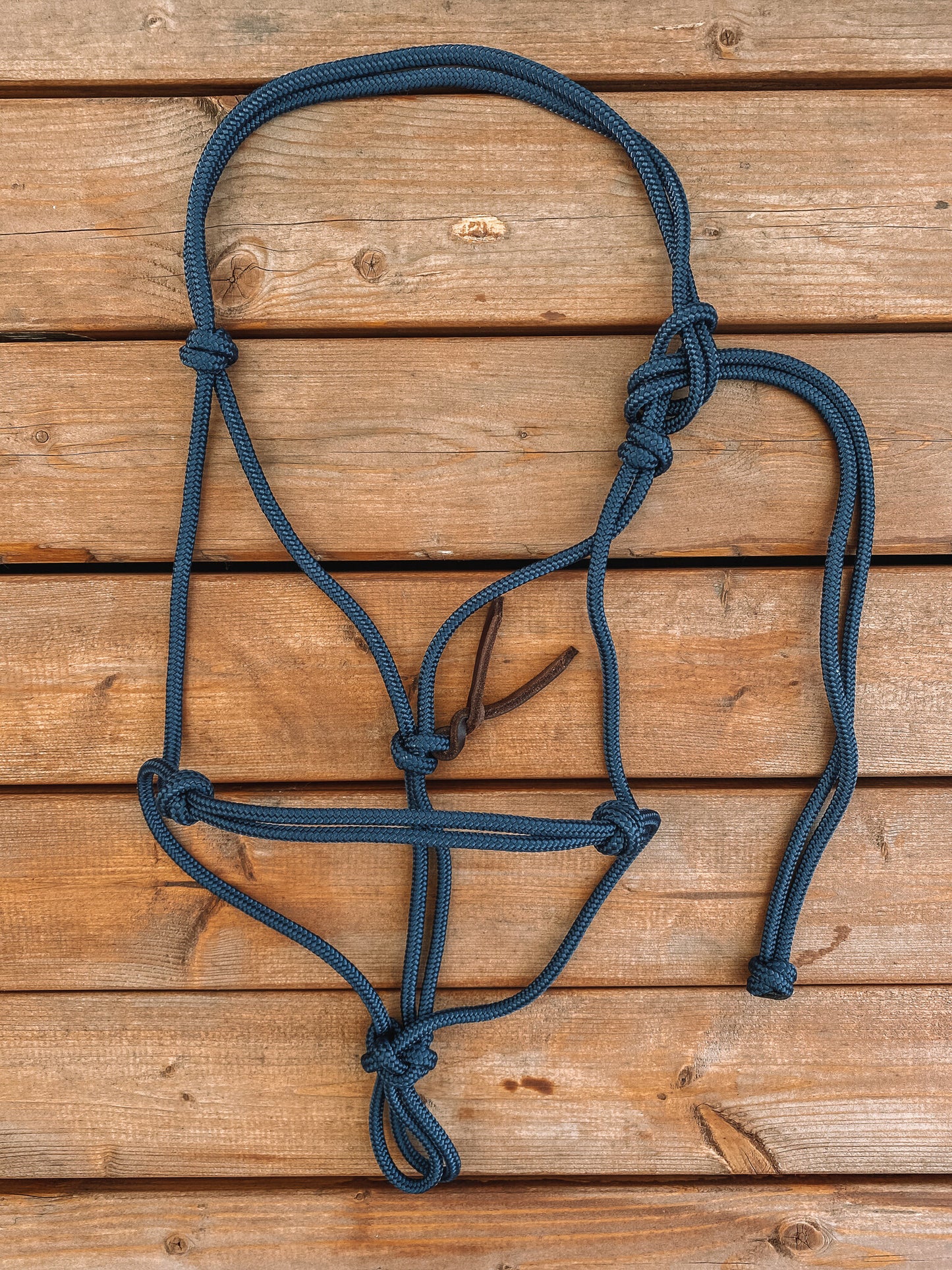 Rope Halter (Cob/ Small Quarter Size)