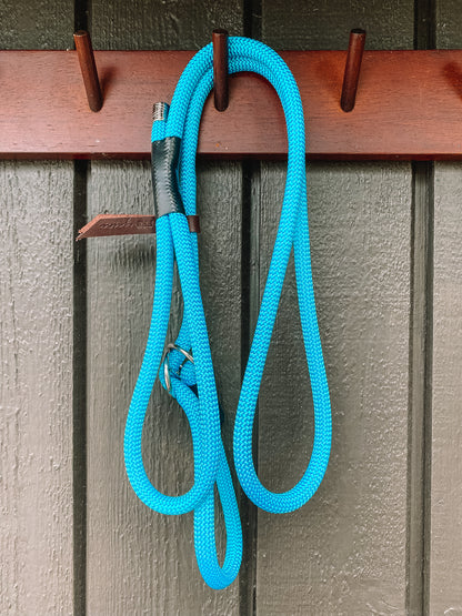 Retriever Training Leash