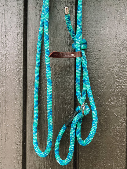 Retriever Training Leash