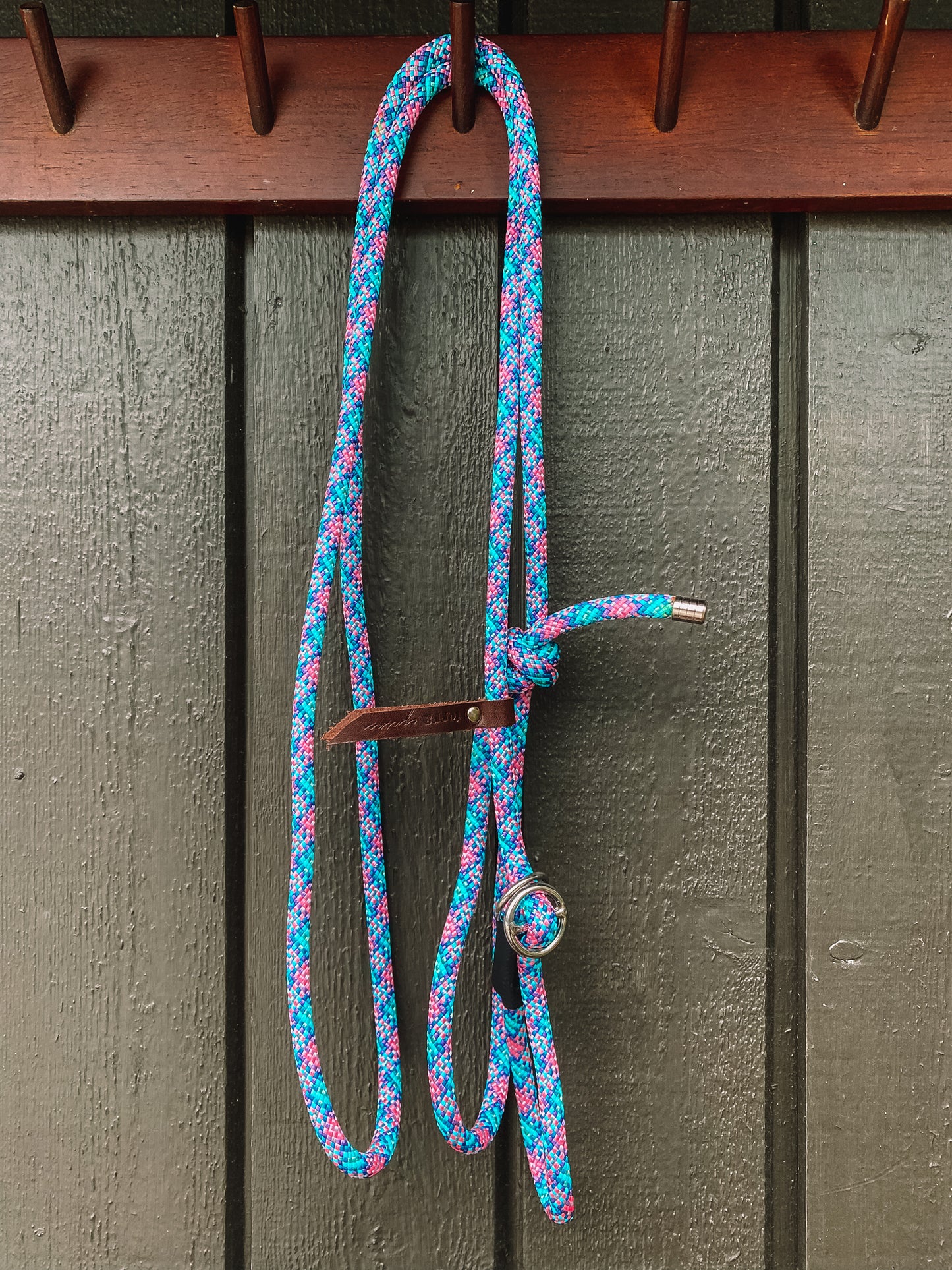 Retriever Training Leash