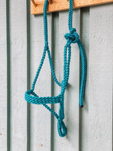 Load image into Gallery viewer, Braided &quot;Mule Tape Style&quot; Rope Halter
