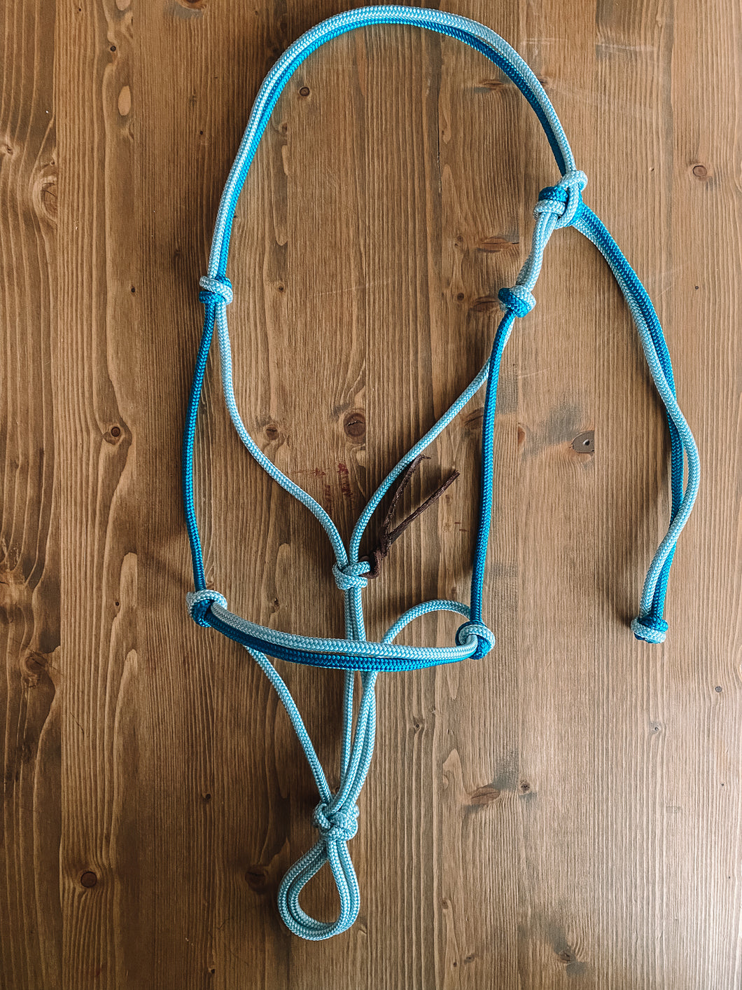 Two-Toned Rope Halter
