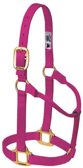 Weaver Original Non-Adjustable Halter